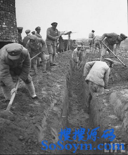 ��Ƭ������������