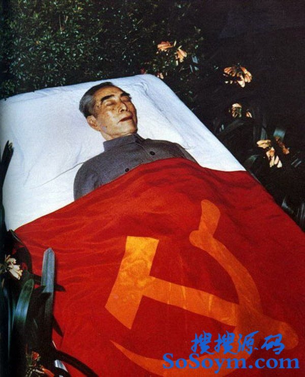 �ﳤ��������:�ܶ����������ڵ��ֹ���