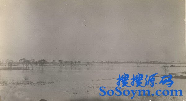 �ֺ�����ĩ�����²�����